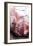 Rose Tinted Vision-Urban Epiphany-Framed Art Print