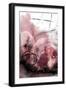 Rose Tinted Vision-Urban Epiphany-Framed Art Print