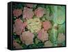 Rose Tinted-Linda Ravenscroft-Framed Stretched Canvas