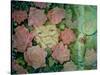 Rose Tinted-Linda Ravenscroft-Stretched Canvas