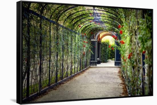 Rose Trellis In Schonbrunn Palace-George Oze-Framed Stretched Canvas