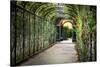 Rose Trellis In Schonbrunn Palace-George Oze-Stretched Canvas
