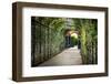 Rose Trellis In Schonbrunn Palace-George Oze-Framed Photographic Print