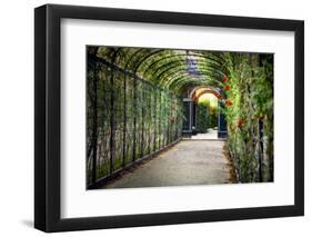 Rose Trellis In Schonbrunn Palace-George Oze-Framed Photographic Print