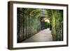 Rose Trellis In Schonbrunn Palace-George Oze-Framed Photographic Print