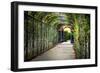 Rose Trellis In Schonbrunn Palace-George Oze-Framed Photographic Print