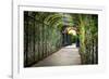 Rose Trellis In Schonbrunn Palace-George Oze-Framed Photographic Print