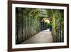 Rose Trellis In Schonbrunn Palace-George Oze-Framed Photographic Print