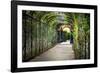 Rose Trellis In Schonbrunn Palace-George Oze-Framed Photographic Print