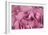 Rose Up Close II-Lee Peterson-Framed Photographic Print