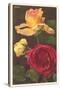 Rose Varieties-null-Stretched Canvas