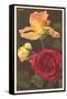 Rose Varieties-null-Framed Stretched Canvas