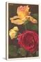 Rose Varieties-null-Stretched Canvas