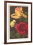 Rose Varieties-null-Framed Art Print