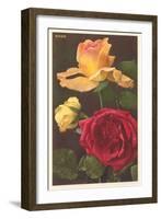 Rose Varieties-null-Framed Art Print
