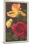 Rose Varieties-null-Mounted Art Print