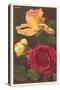 Rose Varieties-null-Stretched Canvas