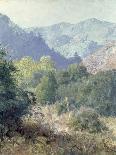 View of the San Gabriel Mountains-Rose-Giclee Print