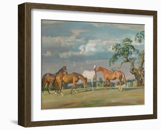 Rose, Wildbird, Peggy and Stockings-Sir Alfred Munnings-Framed Premium Giclee Print