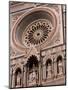 Rose Window and Facade of Polychrome Marble, Duomo Santa Maria Del Fiore, Florence, Tuscany, Italy-Patrick Dieudonne-Mounted Photographic Print