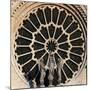 Rose Window, Notre-Dame Cathedral-null-Mounted Giclee Print