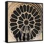 Rose Window, Notre-Dame Cathedral-null-Framed Stretched Canvas