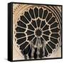 Rose Window, Notre-Dame Cathedral-null-Framed Stretched Canvas