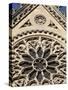 Rose Window on South Facade, Notre Dame Cathedral, Paris, France, Europe-Godong-Stretched Canvas