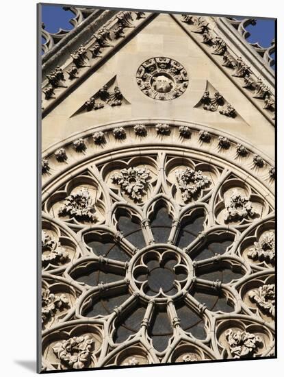 Rose Window on South Facade, Notre Dame Cathedral, Paris, France, Europe-Godong-Mounted Photographic Print