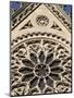 Rose Window on South Facade, Notre Dame Cathedral, Paris, France, Europe-Godong-Mounted Photographic Print