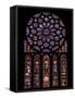 Rose Window, Stained Glass Windows in North Transept, Chartres Cathedral, UNESCO World Heritage Sit-Nick Servian-Framed Stretched Canvas