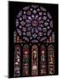 Rose Window, Stained Glass Windows in North Transept, Chartres Cathedral, UNESCO World Heritage Sit-Nick Servian-Mounted Photographic Print