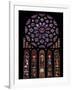 Rose Window, Stained Glass Windows in North Transept, Chartres Cathedral, UNESCO World Heritage Sit-Nick Servian-Framed Photographic Print