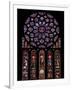 Rose Window, Stained Glass Windows in North Transept, Chartres Cathedral, UNESCO World Heritage Sit-Nick Servian-Framed Photographic Print