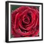 Black Frame