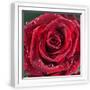 White Frame