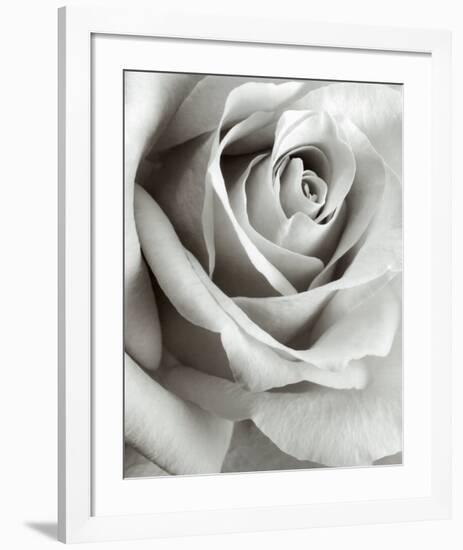 Rose-Steven N^ Meyers-Framed Art Print