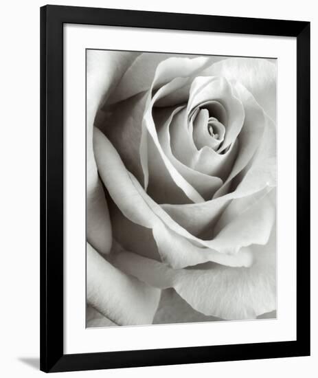 Rose-Steven N^ Meyers-Framed Art Print