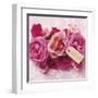 Rose-Louis Gaillard-Framed Art Print