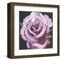 Rose-Elizabeth Hellman-Framed Art Print