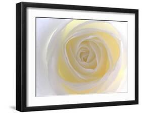 Rose-Nadia Isakova-Framed Photographic Print