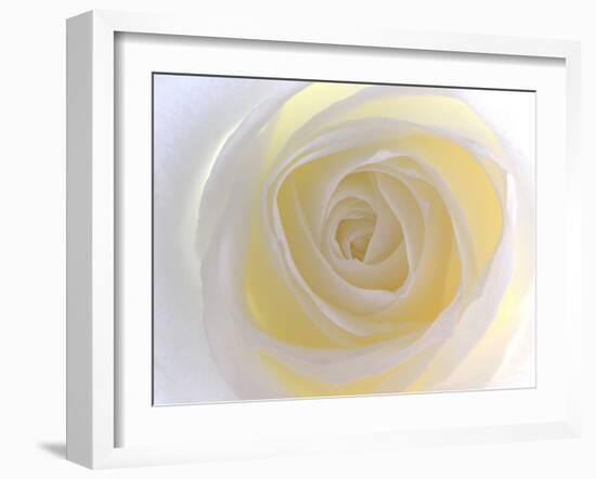 Rose-Nadia Isakova-Framed Photographic Print