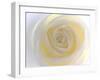 Rose-Nadia Isakova-Framed Photographic Print