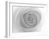 Rose-Nadia Isakova-Framed Premium Photographic Print