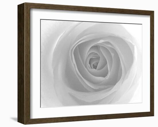 Rose-Nadia Isakova-Framed Photographic Print