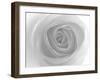 Rose-Nadia Isakova-Framed Photographic Print