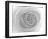 Rose-Nadia Isakova-Framed Photographic Print