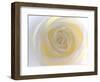 Rose-Nadia Isakova-Framed Photographic Print