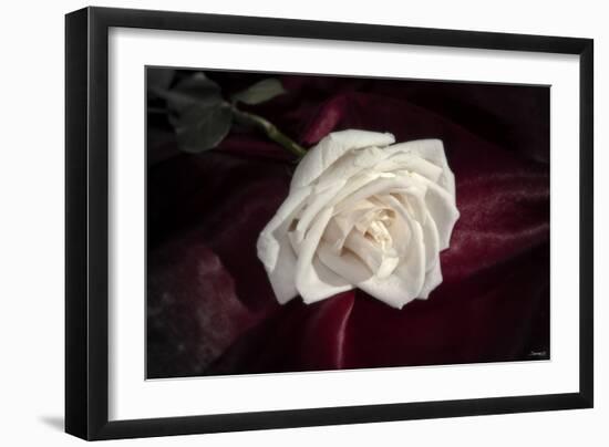 Rose-Gordon Semmens-Framed Photographic Print