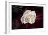 Rose-Gordon Semmens-Framed Photographic Print